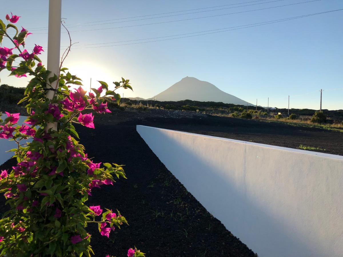 Vinhas Do Calhau Apart otel Madalena  Dış mekan fotoğraf